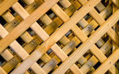 Palissade en bois à Nancy : Un atout incontournable pour votre espace extérieur