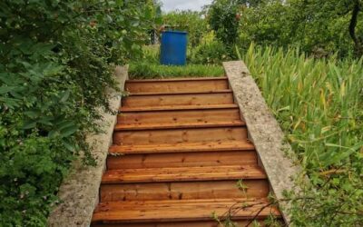 Aménagement en bois à Metz : transformez votre jardin en oasis esthétique